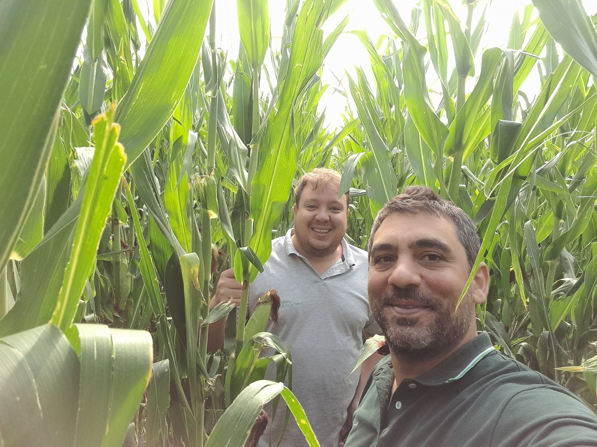 Mariano Martinez tweet media