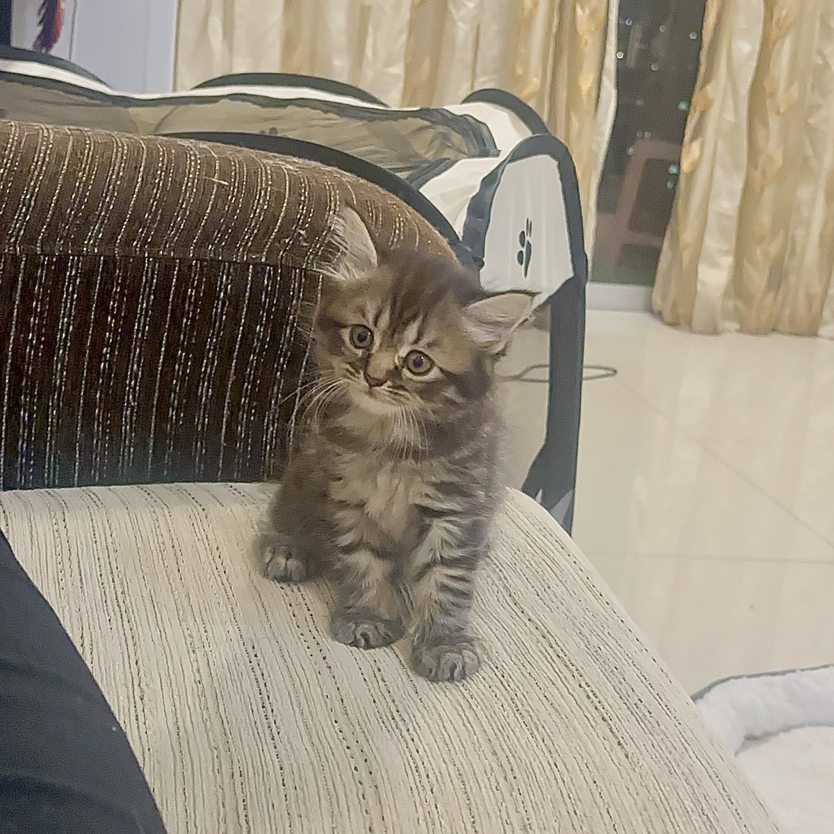 𝓮𝔂𝓷𝓪 ✨ tweet media