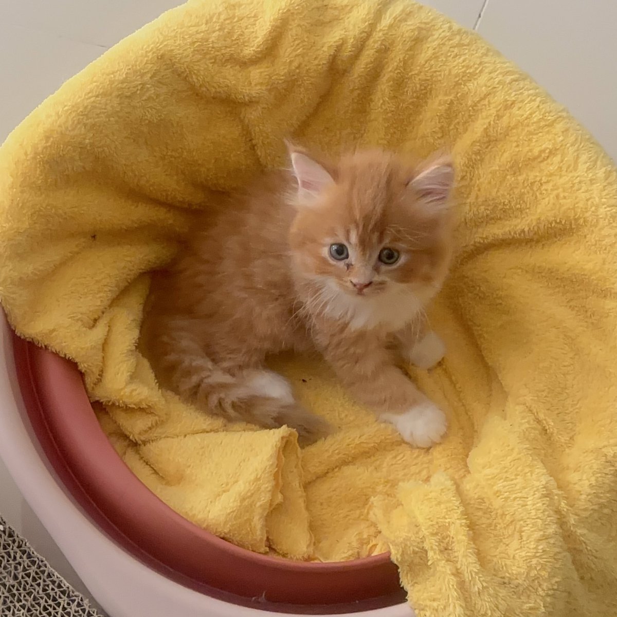 𝓮𝔂𝓷𝓪 ✨ tweet media