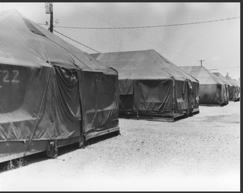 Olafo el Amargado (Oscar L. Fontán) Parody tweet media