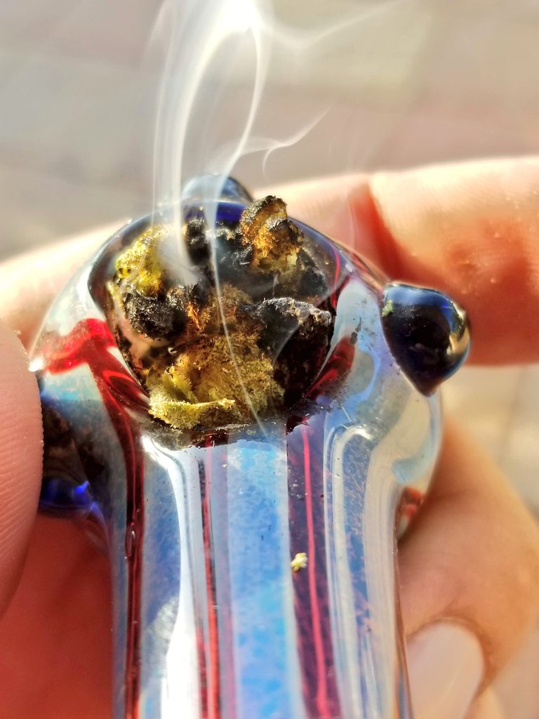 DarinJ222's tweet photo. Gonna be another #Beautiful day in #SouthWestFlorida on the #GulfofAmerica today ...
Have a #LiftedUp #BlessedUp kinda #MondayVibe ...
#CHEERZ
#PPP
Last of the #Runtz from my #Brother @UltraToxicMale hooked me up with
Thanks again Brother, the #Flower and the #Hash was spot on !! https://t.co/SpCyMWtYu0