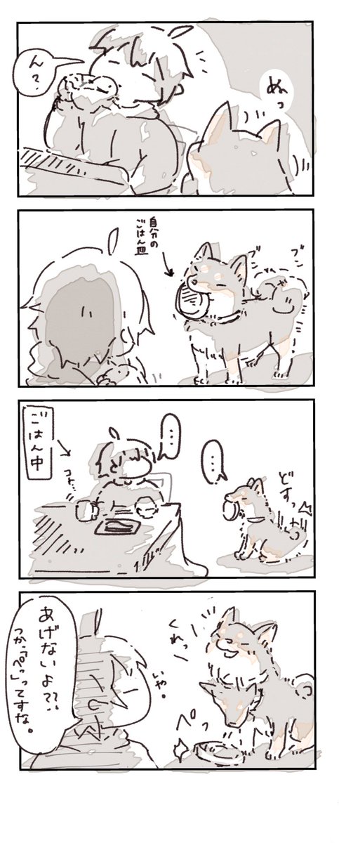 ご飯の時間
#4コマ漫画  #柴犬 #日常 