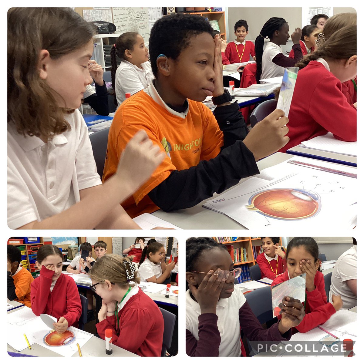 knightontmet's tweet photo. In science #LothairClass have been learning about how we see light. They have observed how their pupil changes depending on the light level. #KnMPAScience https://t.co/Jj5YmZKU46
