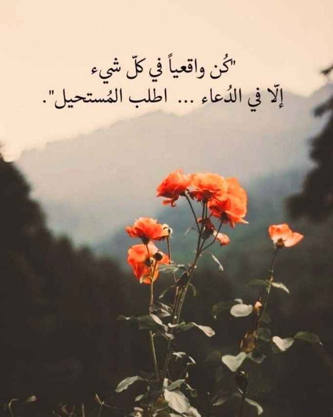 Reemaa_H34's tweet photo. يارب🤍🤍 https://t.co/lBcMMEF0gx