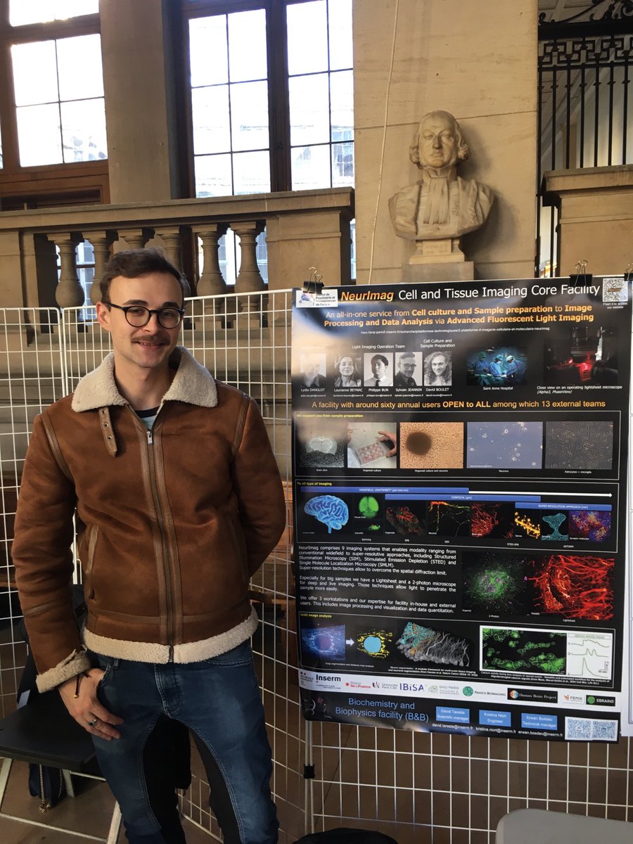 Sylv1JEANN1's tweet image. Pleased to take part in the medical UFR research day organised by @univ_paris_cite
Very interesting talks, methods and preventions. 
Nice discussion around our NeurImag facility poster with other facility and new users.
With @LydiaDanglot and NeurImag team @Insermu1266