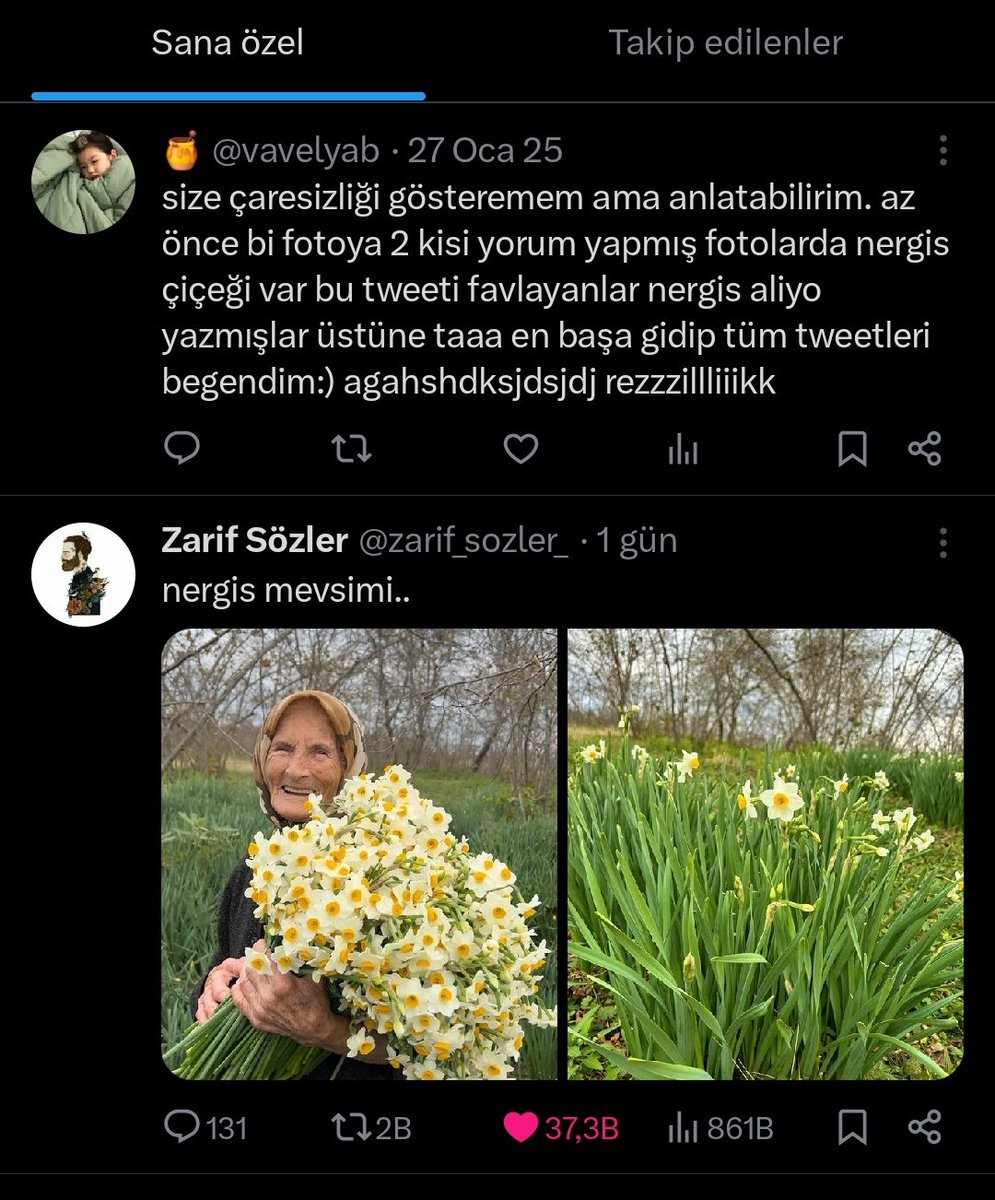 HER YERDE NERGİS VAR BENDE İSTİYORUM.