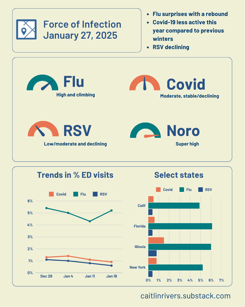 I visited all 50 state health department websites to collect outpatient flu data... and found that activity has rebounded. caitlinrivers.substack.com/p/outbreak-out…