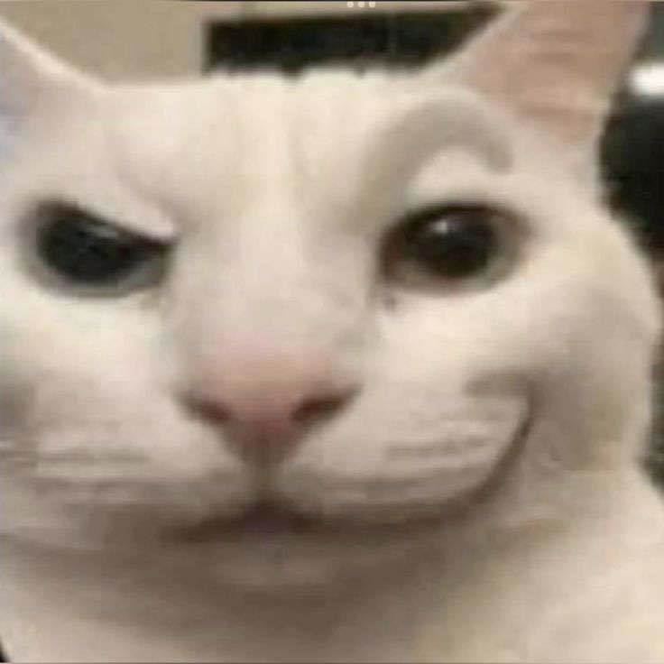TripppleDot's tweet photo. @SavinTheBees @TheMainLogic @Baconlordnick @noctair_ @HydraJojo @JaylenGuerrero this community growing and winning? love to see it https://t.co/YLe2e6M1Ra