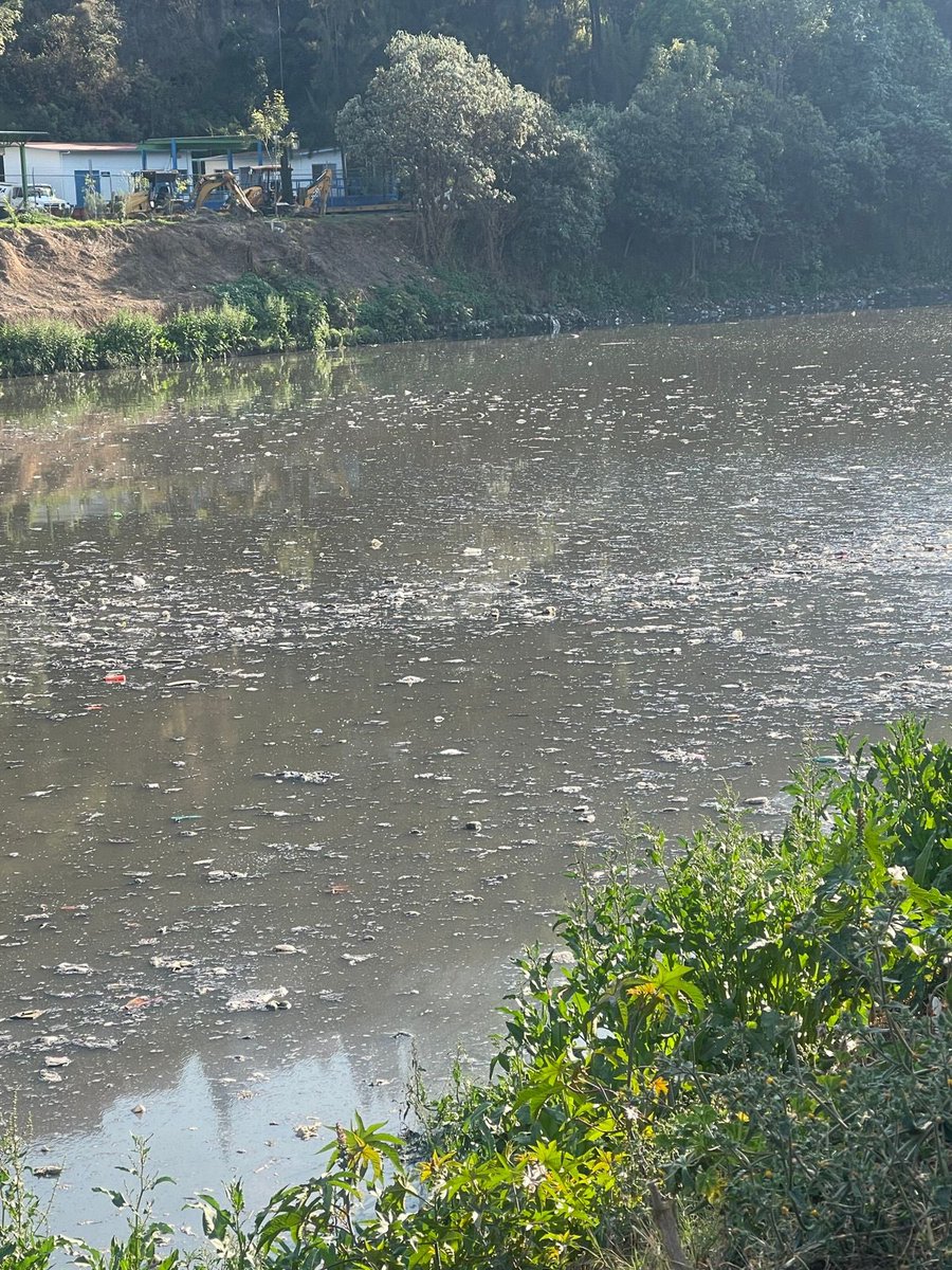 ximena F tweet media