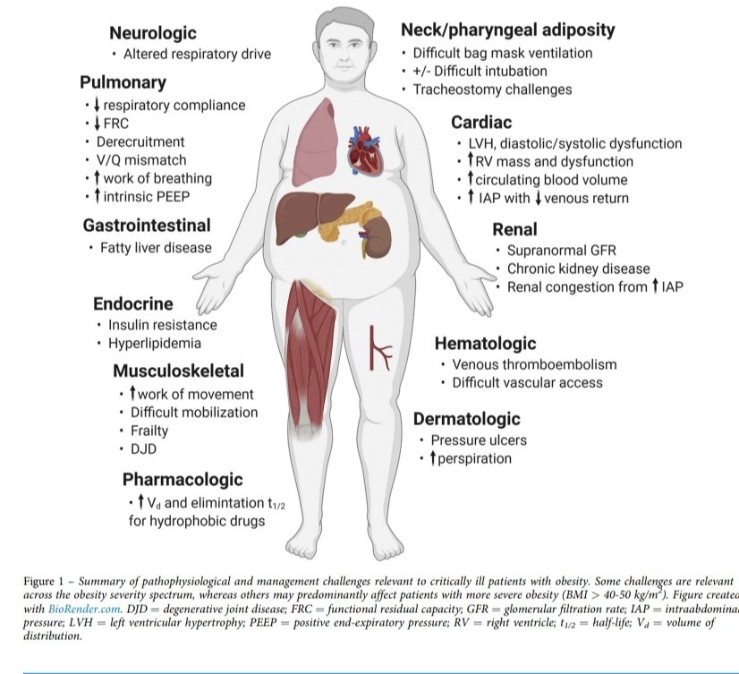 Leo_Santo5's tweet photo. 💎Impacto de la Obesidad en la Enfermedad Crítica 🏥

🔰📚Critical Care CHEST Reviews

https://t.co/ZyjHAwktLL

Enlace a Artículo Completo 👇🏼✅🆓https://t.co/xumUMHb5Li https://t.co/FsKgNFilzZ