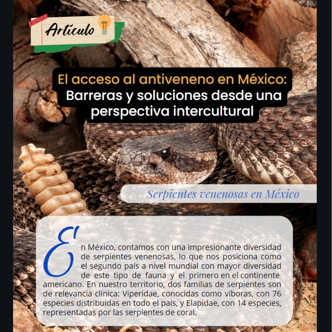 Revista_CyN's tweet photo. En México, las mordeduras de serpientes venenosas son un grave problema de salud. 🐍💉 Con una alta diversidad de especies, el acceso al antiveneno es crucial. 🌿❤️  
 Revista 🚀 Ciencia y Naturaleza 🍀
 #RevistaCyN #Divulgación #Leer+
👉 https://t.co/X03Ow4GRQL https://t.co/ECz064RzsH