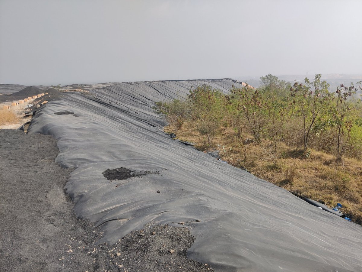 sbedwal519's tweet photo. #HZLvisit🏗️ Phyto-stabilization of Jarofix dump site with plantations🌴 #Greenbelt 🏞️🌱 #TERI https://t.co/Aocs26566i