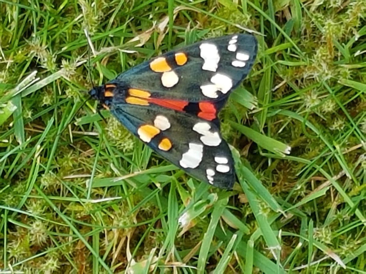 Planning a getaway? 🌍 Use #easyfundraising to support MindFood with TUI, Expedia, and more at no extra cost!  

Take the travel poll for 2025 deals and a chance to win £1,000!   

Not on easyfundraising yet? Sign up:  
join.easyfundraising.org.uk/mind