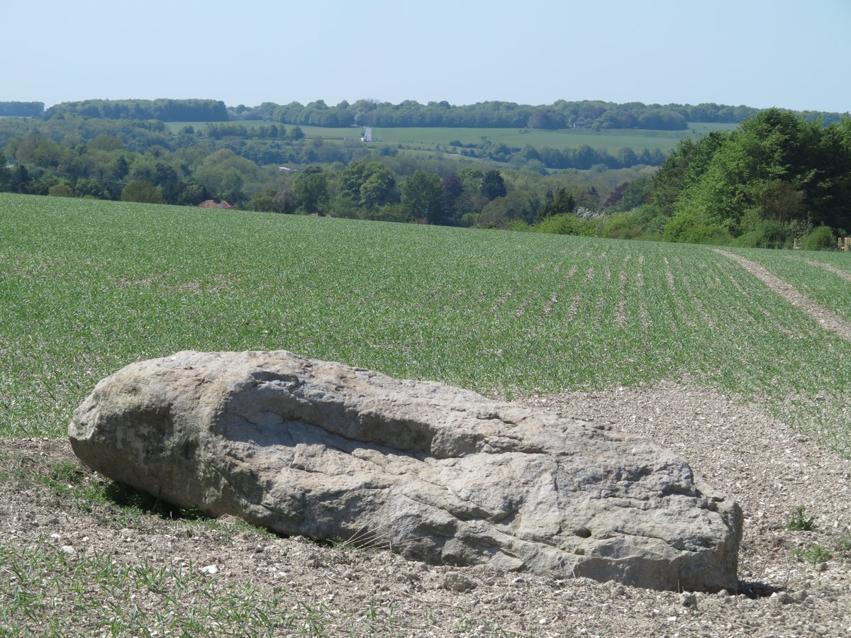 David Nash tweet media