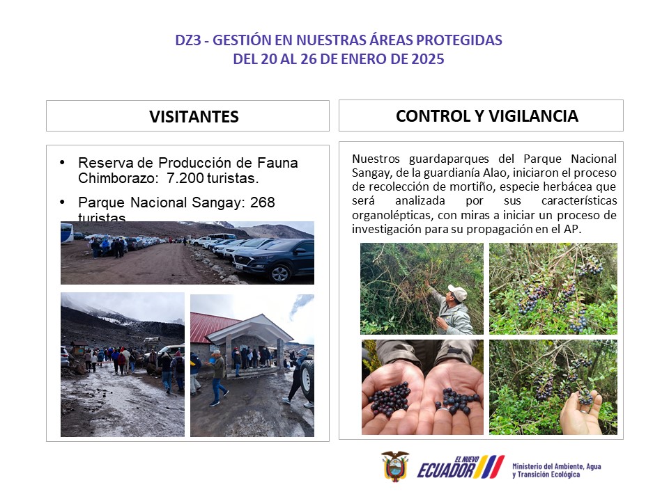 MAATE_Zonal3's tweet photo. #DZ3 | Nuestros guardaparques de las áreas protegidas de la provincia de #Chimborazo recibieron la visita de 7.468 turistas. Aquí les presentamos un resumen de las actividades cumplidas en la semana del 20 al 26 de enero de 2025.🏔️📷 https://t.co/BlSsAUbnby