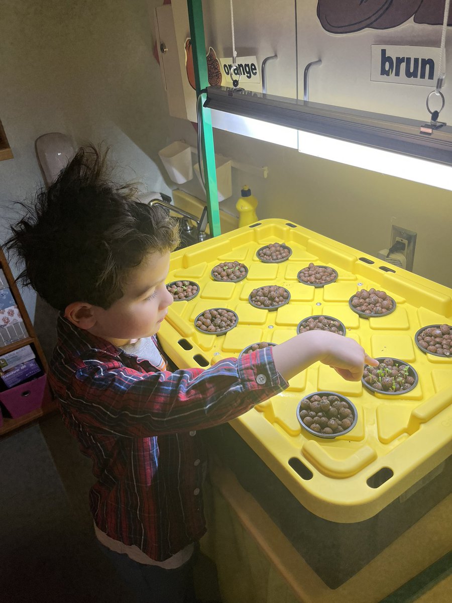 Youpi!! Nos plantes poussent.. 🪴❤️ <a href="/SucSeedCanada/">SucSeed</a>