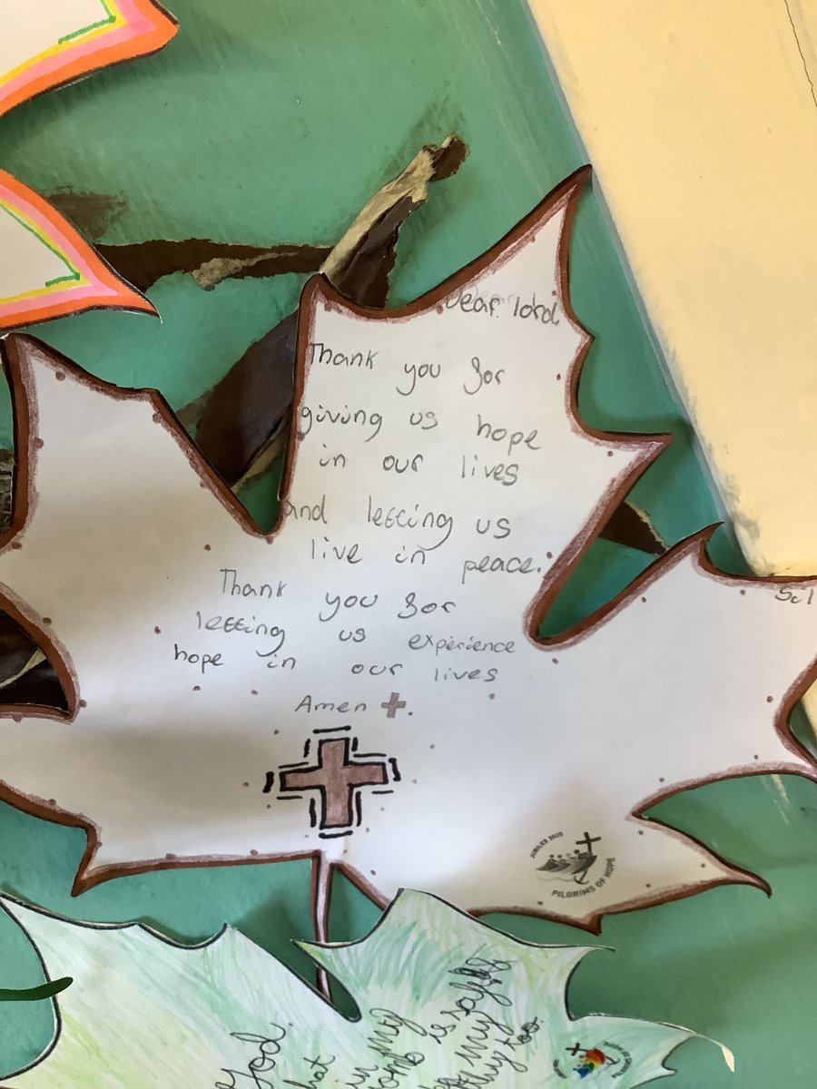 St Thomas More Hull tweet media