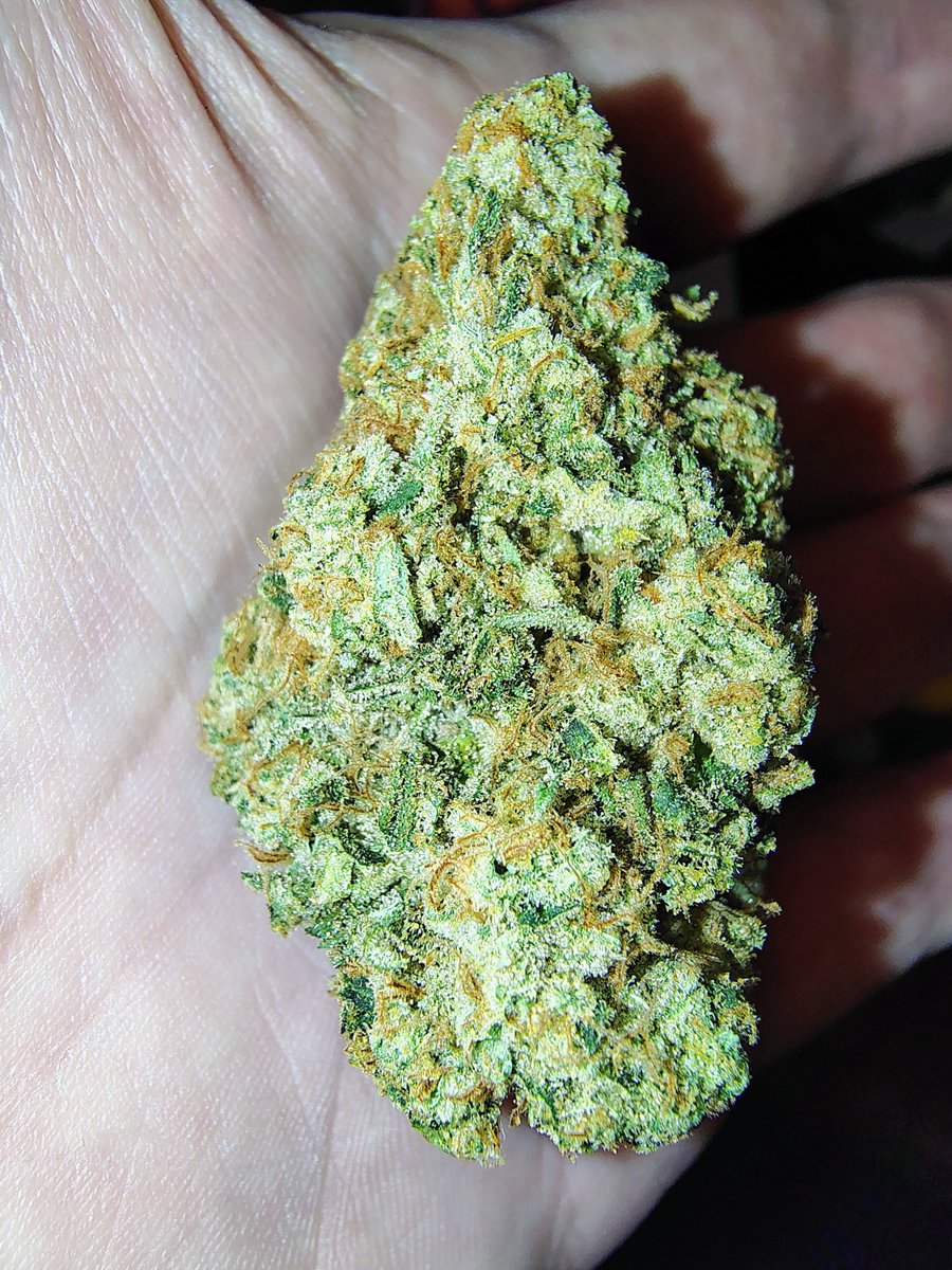 LateNightRetro tweet media