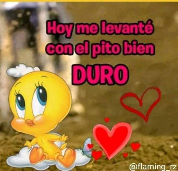 rocketman_em's tweet photo. Wenos días. https://t.co/uYRAjkhbOZ