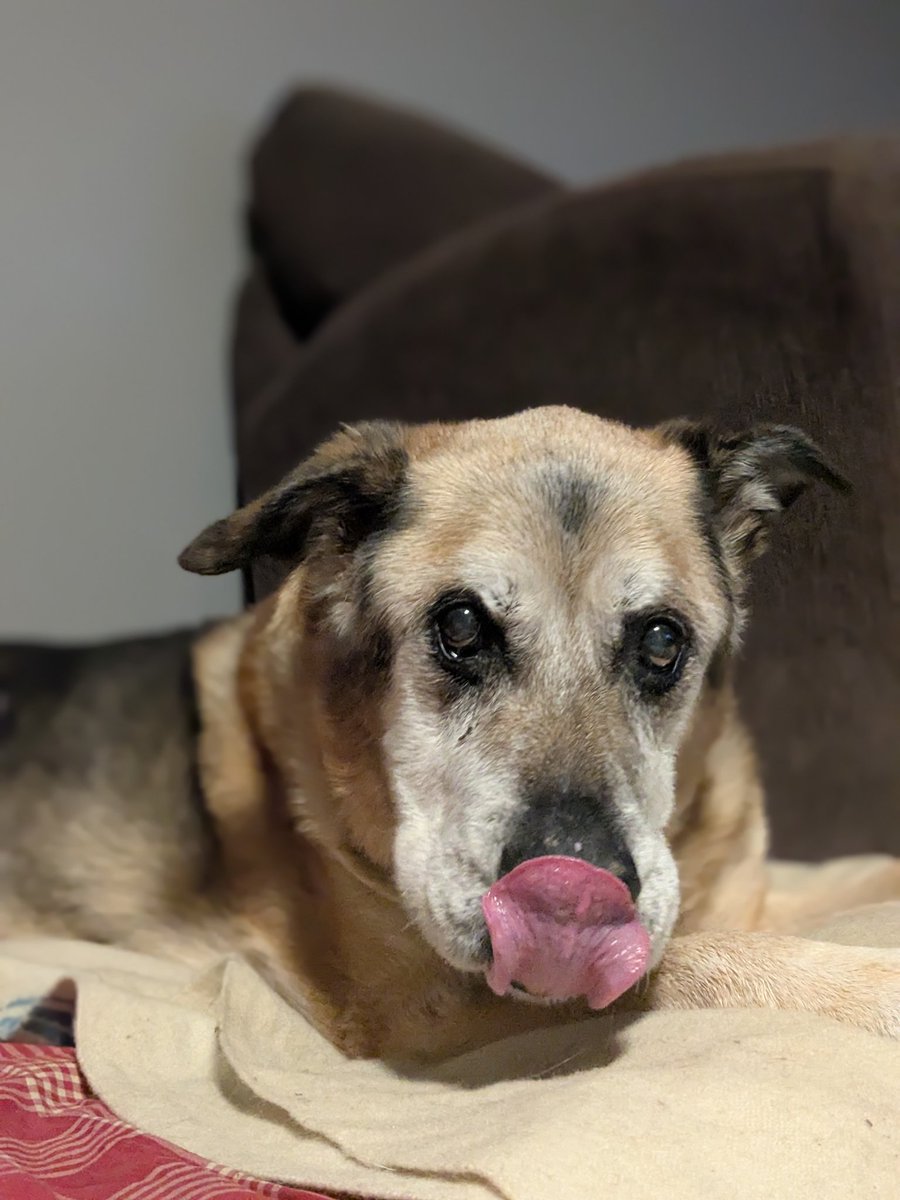 KushCabinNFT's tweet image. I miss him so much 💔🥺