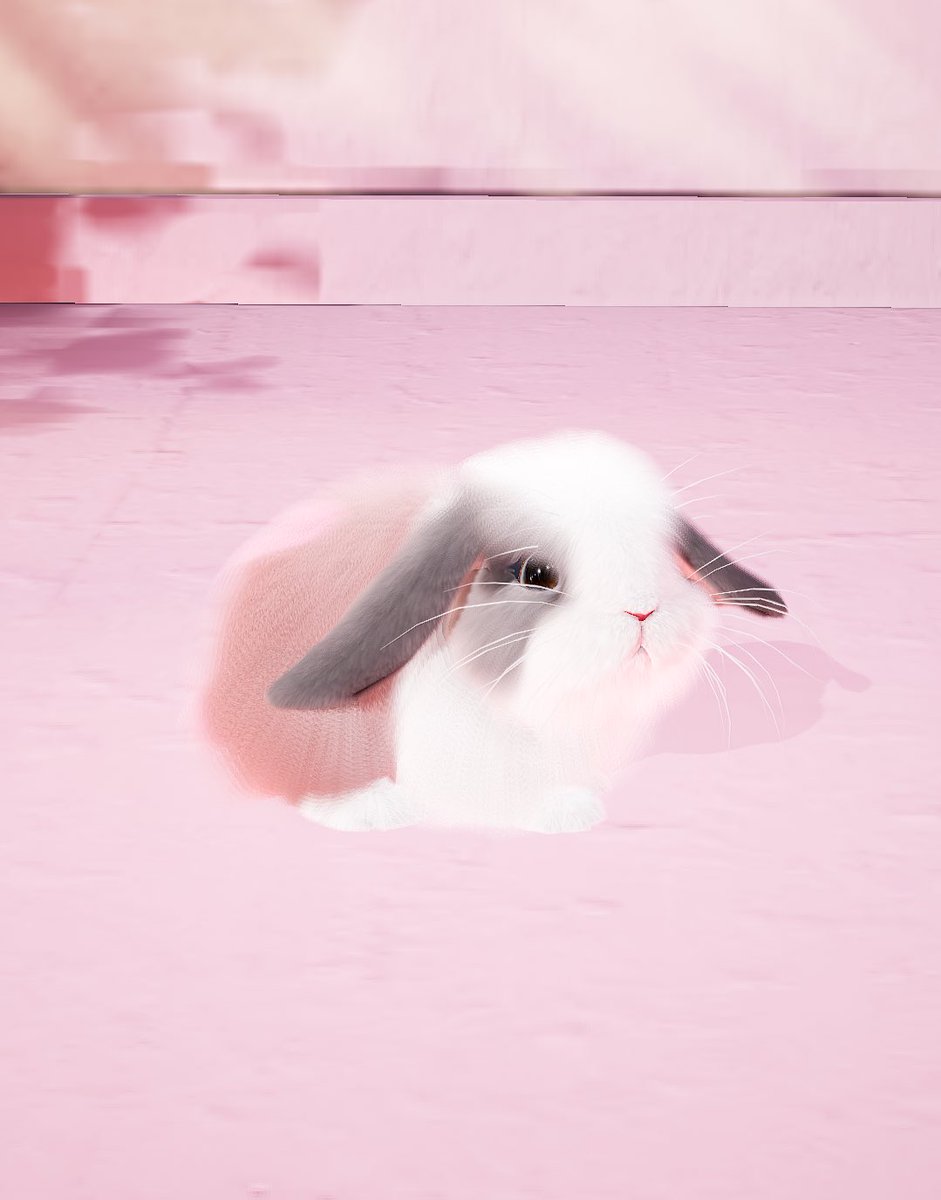 KumanosukeIssyo's tweet photo. @kiraparakia 生まれたね✨
いちかちゃん！名前可愛ええᐢ ܸ.  ̫ .ܸ ᐢ
背中もめちゃかわいいよね🍓
また機会あれば！ありがとう(*´∀｀)ﾉ https://t.co/WUnkeGEAEp