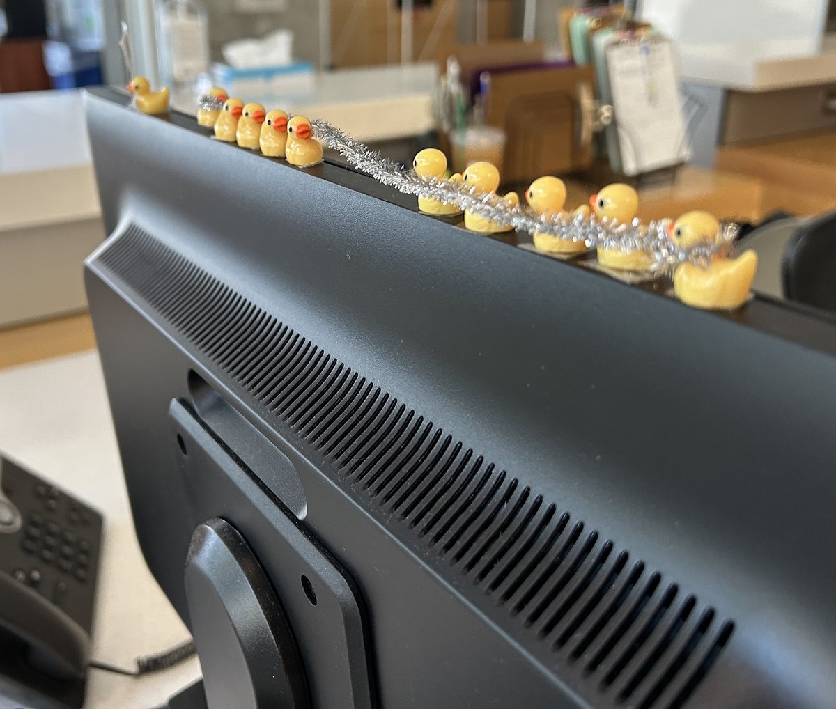 germannalibrary's tweet photo. In all the Spring excitement - our ducks are missing! Search the library, if you find one bring it to the front desk - you might win a prize! The Duck Hunt is on!!! #germannalibraries https://t.co/nK1pOQD5ZV