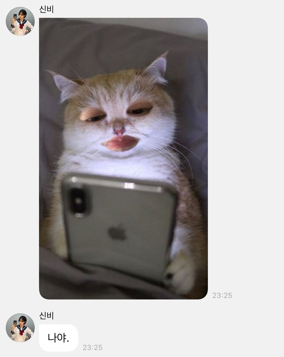 걍 신비가 잠들기 전에 폰하는 모습 아님?