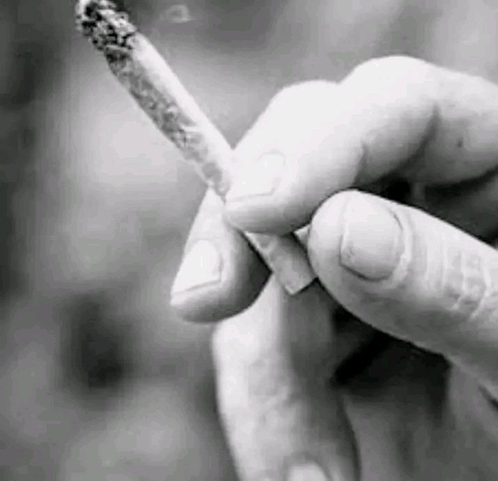 I draw back to the day I used to trust my dog until the day It and I were chased together by another dog...