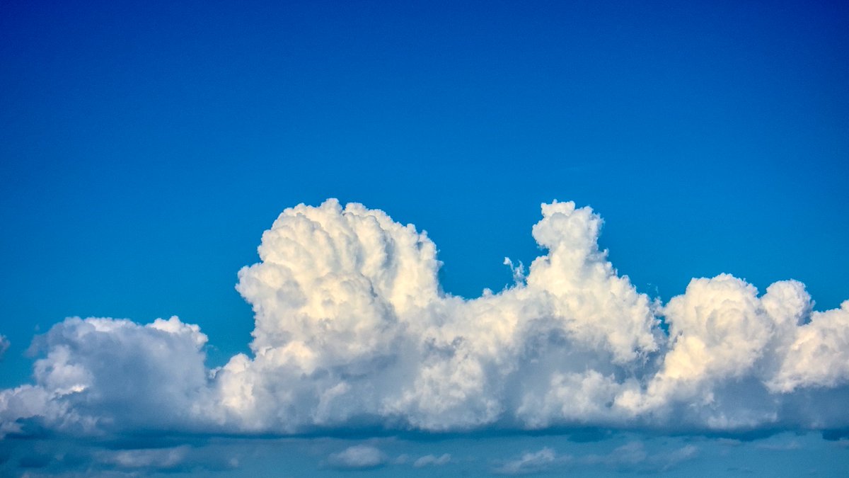 L. Spiro tweet media