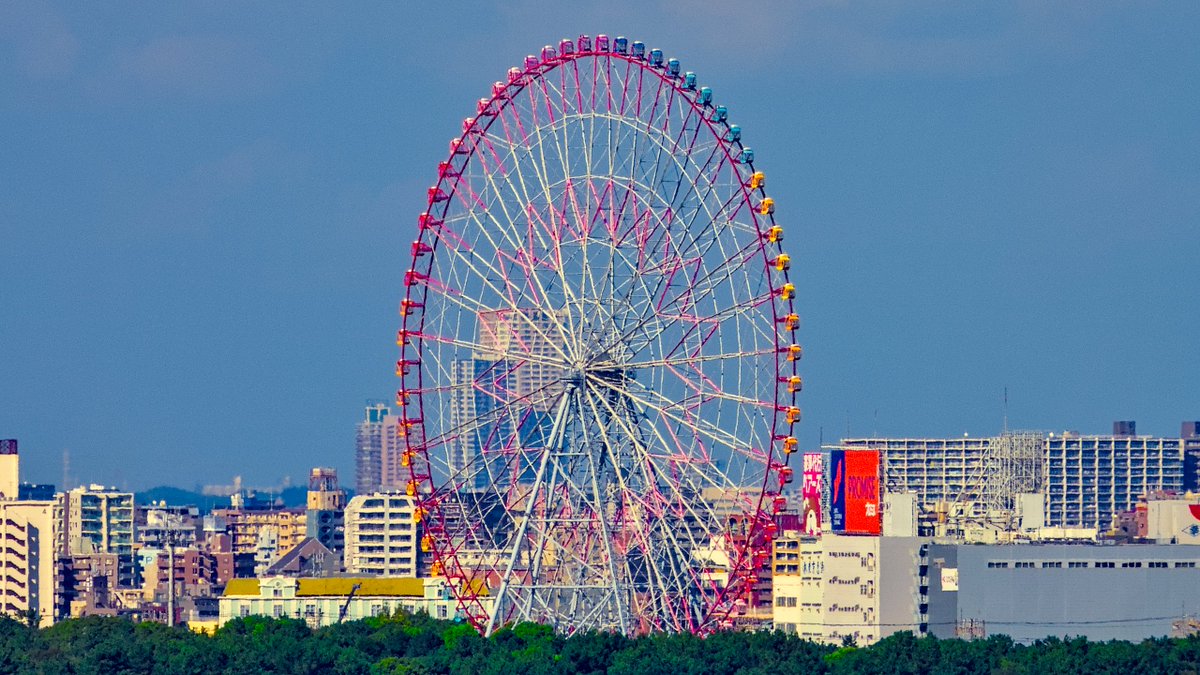 L. Spiro tweet media