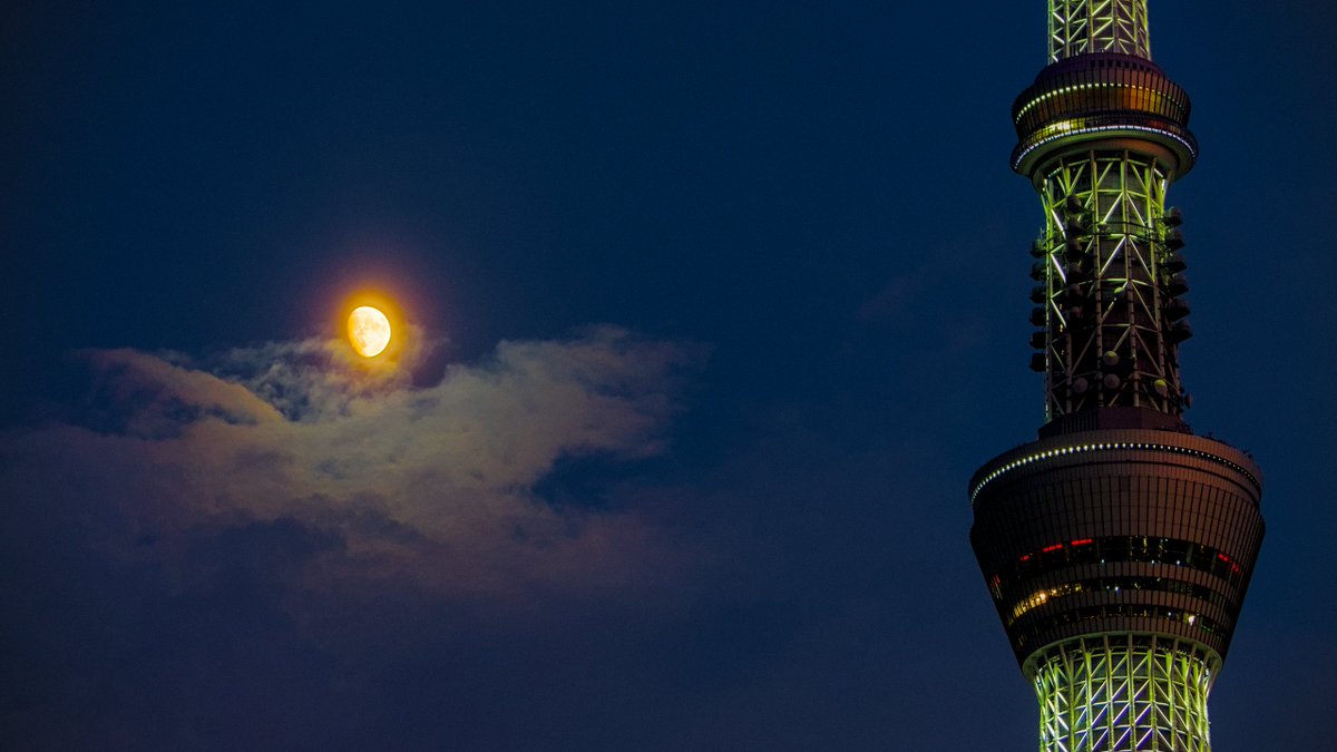 L. Spiro tweet media