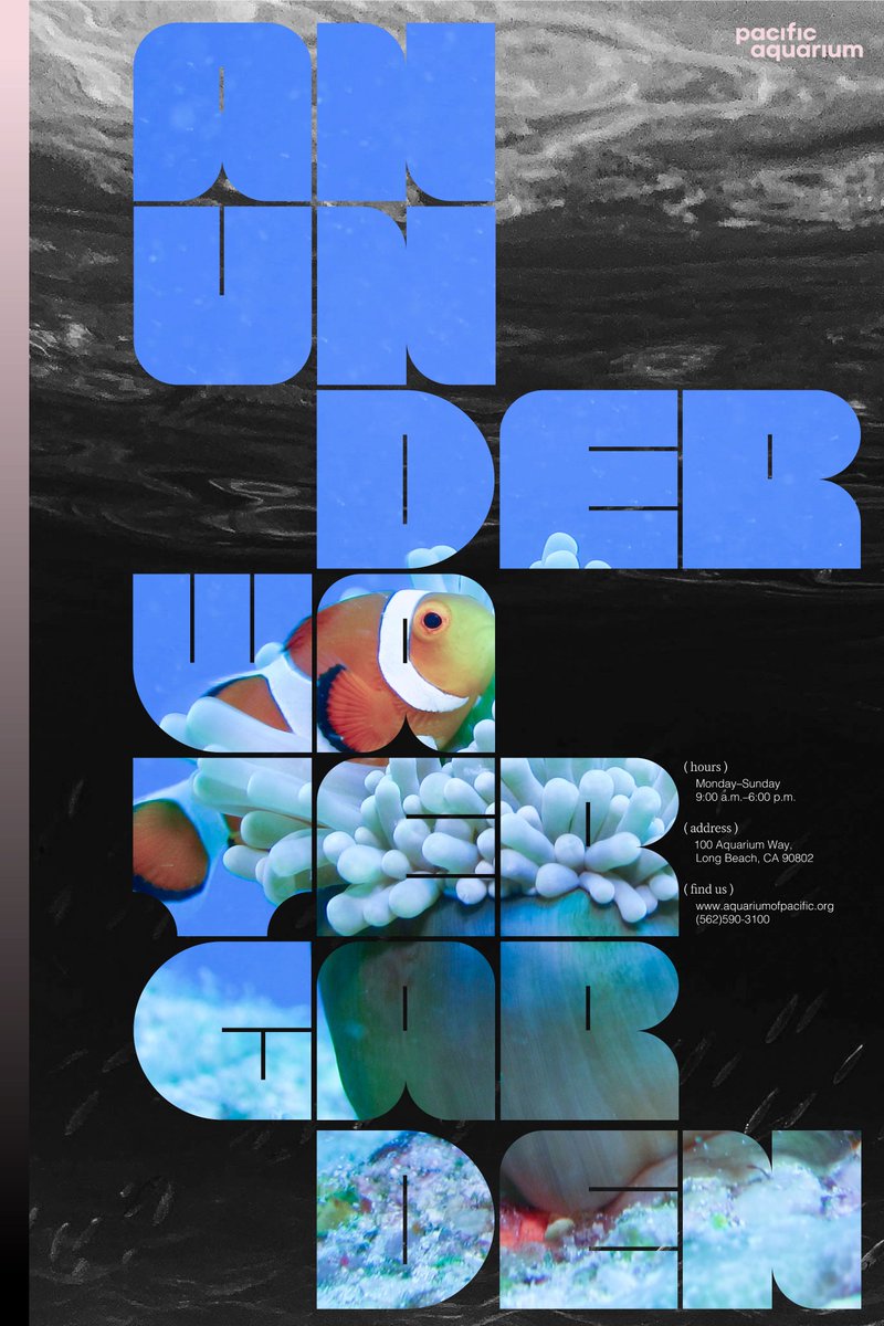 Graphis, Inc. tweet media