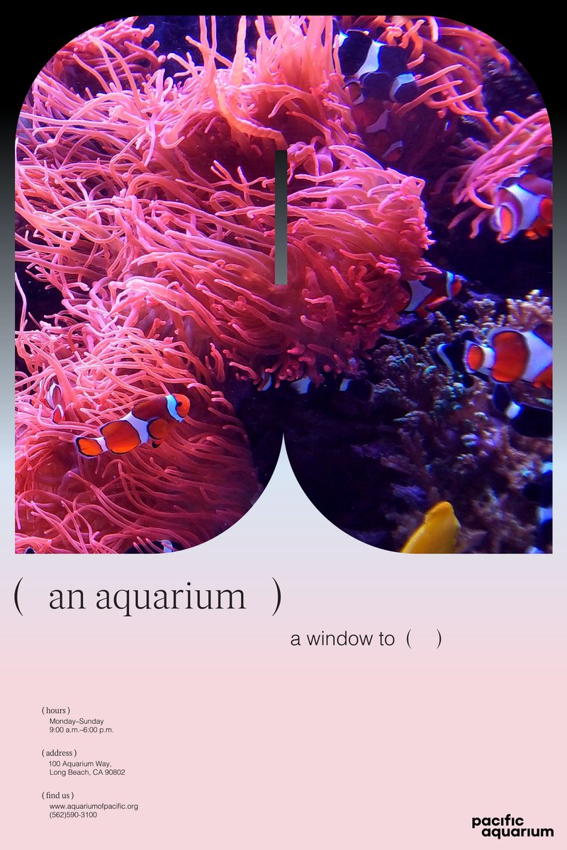 Graphis, Inc. tweet media