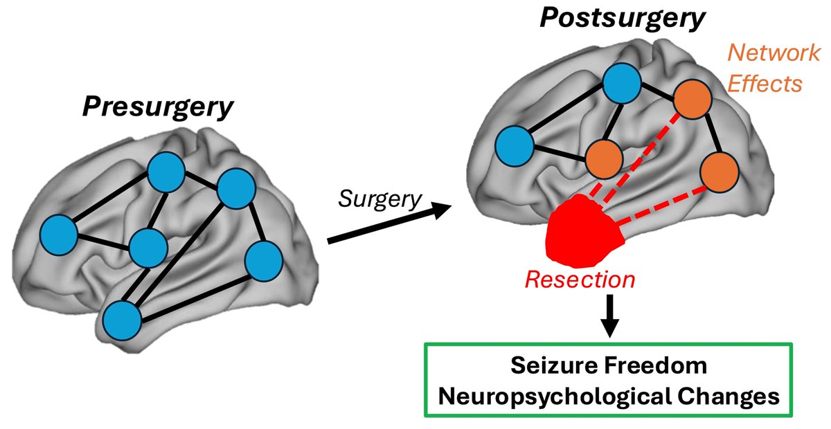 Resective epilepsy surgery can lead to widespread brain network changes. Sainburg et al. review evidence from imaging studies highlighting these effects and discuss their implications for brain function and seizure outcomes. tinyurl.com/37wdjvhm