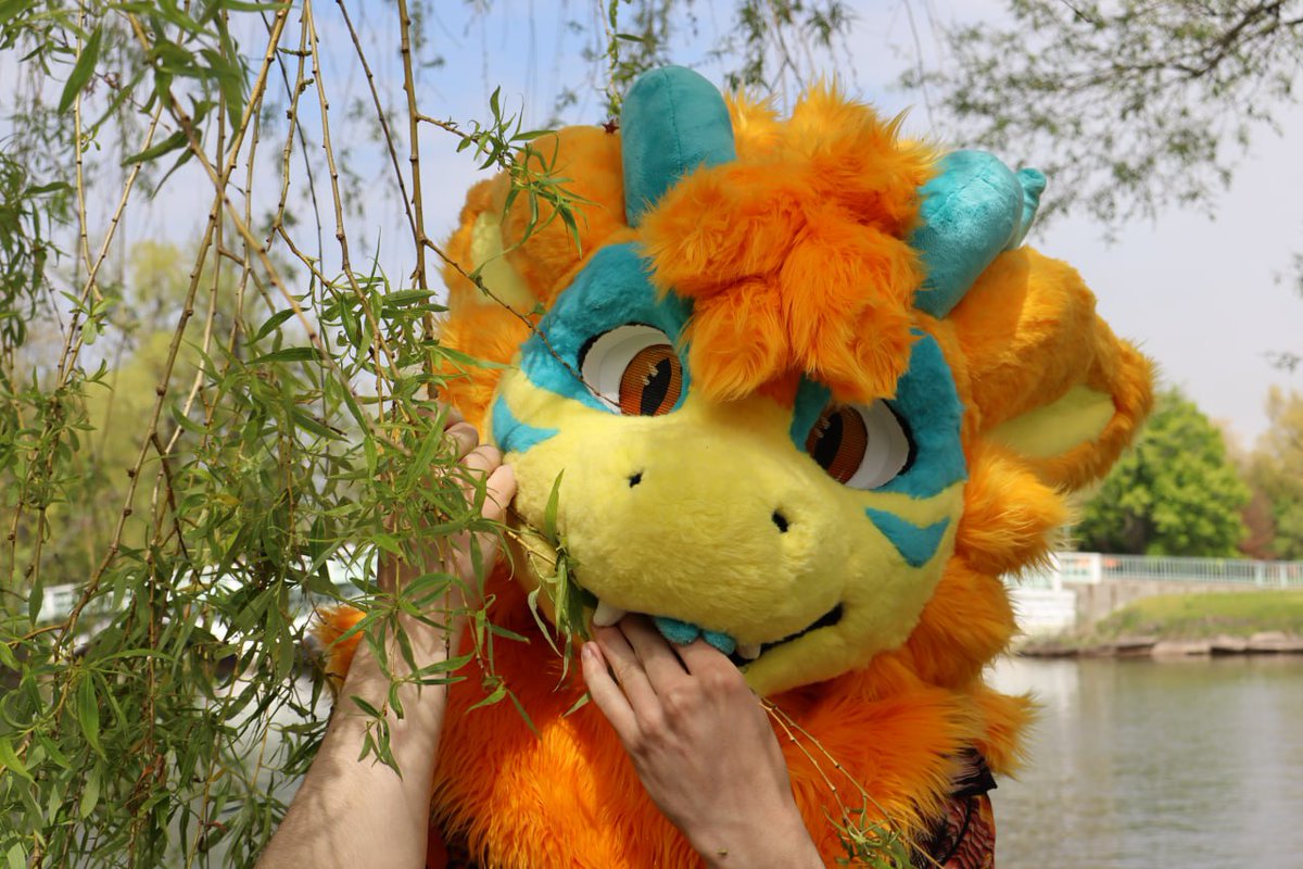 ThatOrangeNardo's tweet photo. Found a super old pic from a camera I forgot about 😅

#fursuit #fursuiter #furry https://t.co/diPtJLgVma