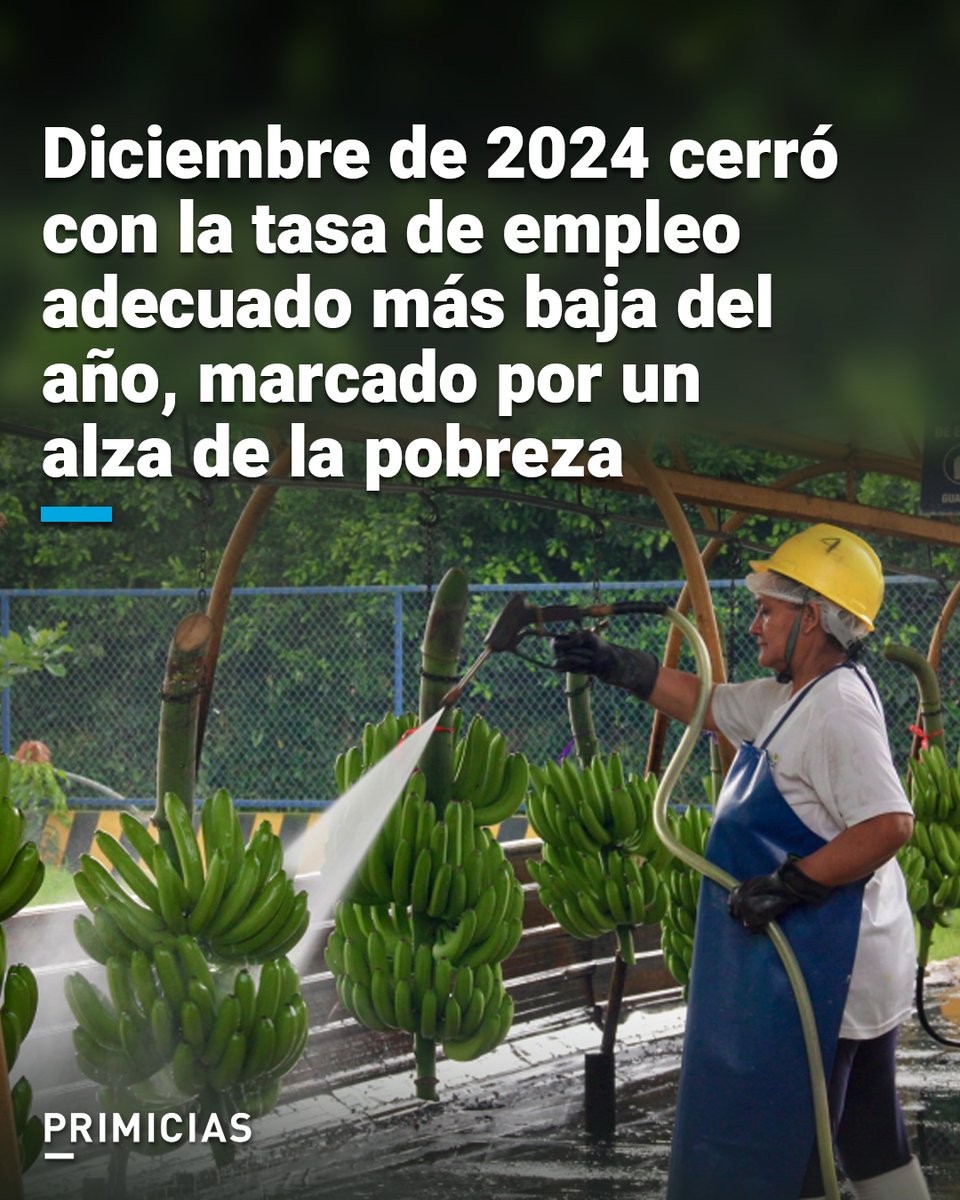 Primicias's tweet photo. El empleo en el sector informal subió a 58% en diciembre de 2024, la tasa más alta al menos de la última década en Ecuador, según el INEC. https://t.co/0ITDNTXB0Y https://t.co/0pGMDPCNkq