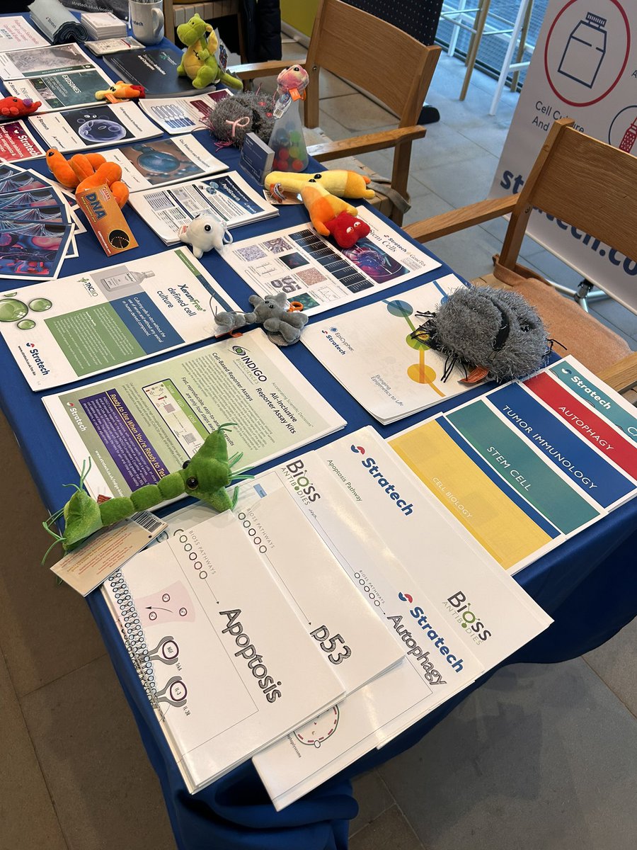 Chandni_Stratech tweet media