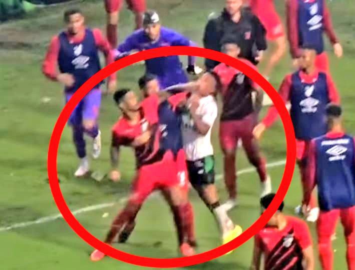 Apanharam até por dentro do zóio