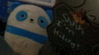 Reteach🏳️‍⚧️ tweet media