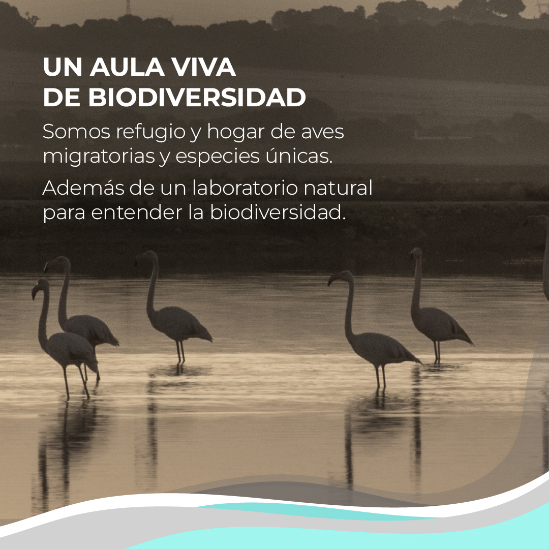 Asociación SALIMAR tweet media