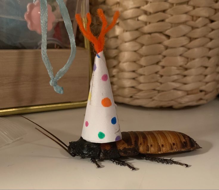 >insects
>Gets so happy I pass out