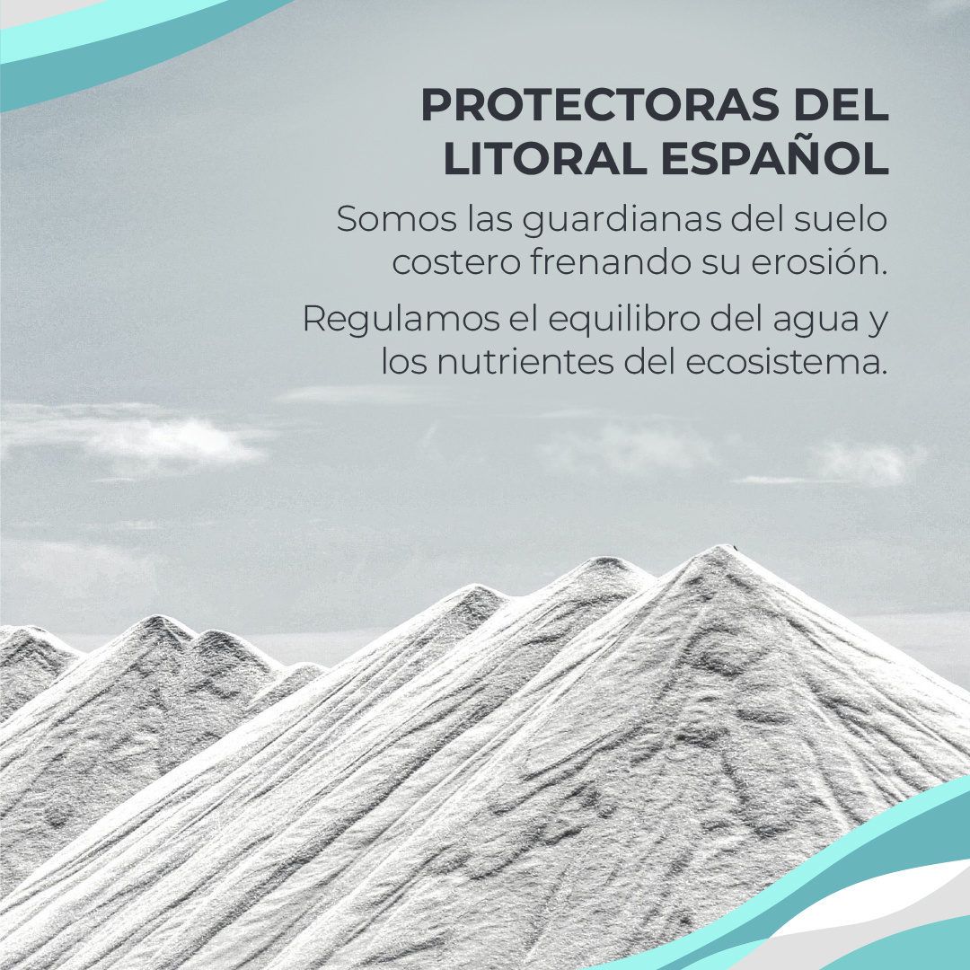 Asociación SALIMAR tweet media