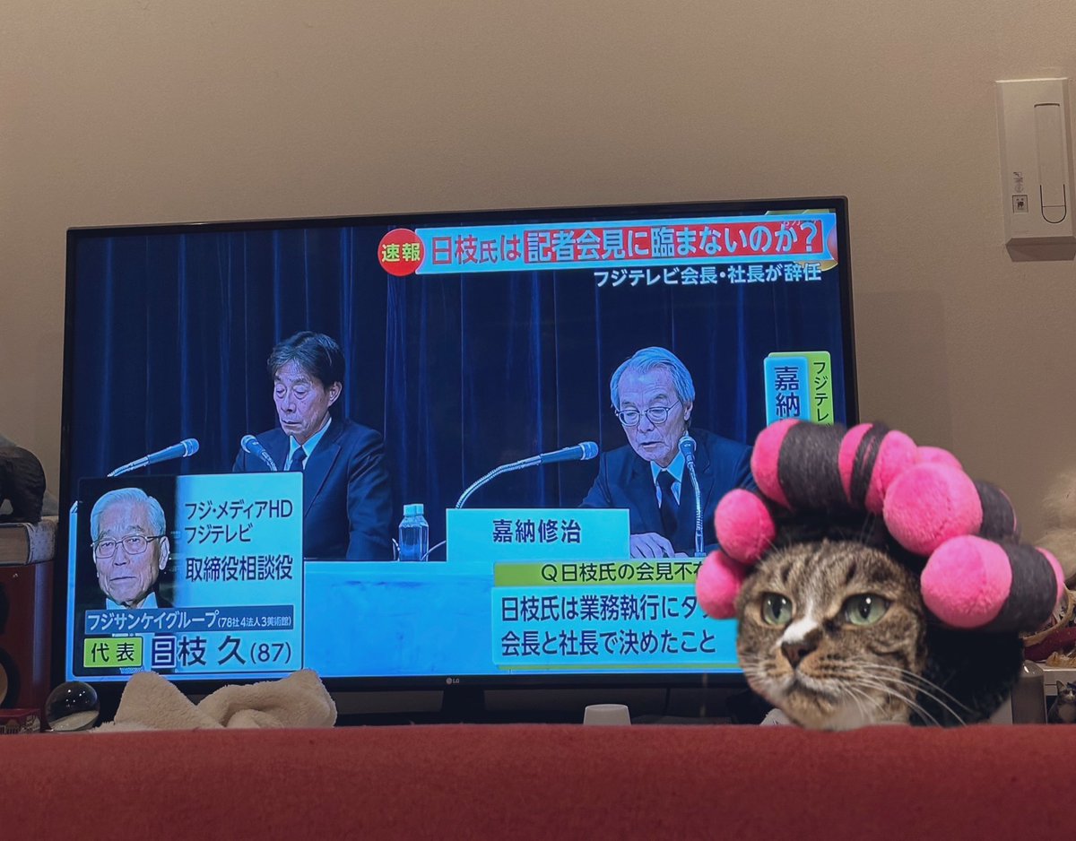 kokonananya's tweet photo. はなちゃんオカン「あんたらまだやってるんかいな…とりあえず休憩や休憩はさも🌸」 https://t.co/KOT3osy2L1
