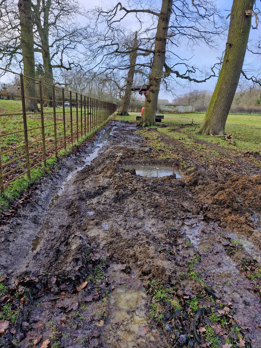 AdeysAlthorp's tweet photo. Collapsed 19th century clay drainage pipes are being replaced in Althorp park this today. No original drainage plans to work from. 
We needed to drain the standing water away from our oak trees.
A new pipe system will be in this week, we WILL leave plans!
Conservation@althorp.com https://t.co/eYeWPywEcU