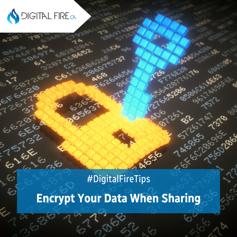 Digital Fire tweet media