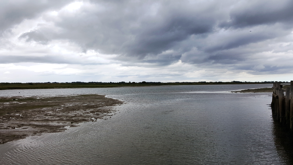 Radio Lento tweet media