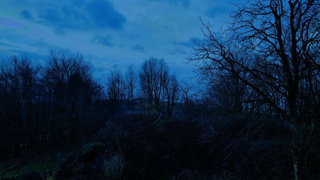 Radio Lento tweet media