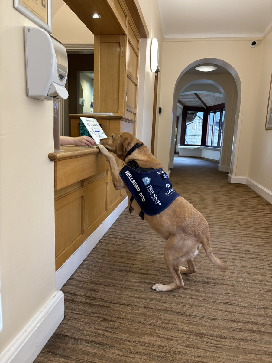 @BluepawWB (@bluepawwb) on Twitter photo We have just checked in for our bi monthly visit to FLINT HOUSE POLICE REHABILITATION helping with officer wellbeing. As well as holly supplying endless cuddles. We present our lived experience PTSD and trauma story, <a href="/FlintHouseRehab/">Flint House Police Rehabilitation®</a> #wellbeing #ptsd We have just checked in for our bi monthly visit to FLINT HOUSE POLICE REHABILITATION helping with officer wellbeing. As well as holly supplying endless cuddles. We present our lived experience PTSD and trauma story, <a href="/FlintHouseRehab/">Flint House Police Rehabilitation®</a> #wellbeing #ptsd