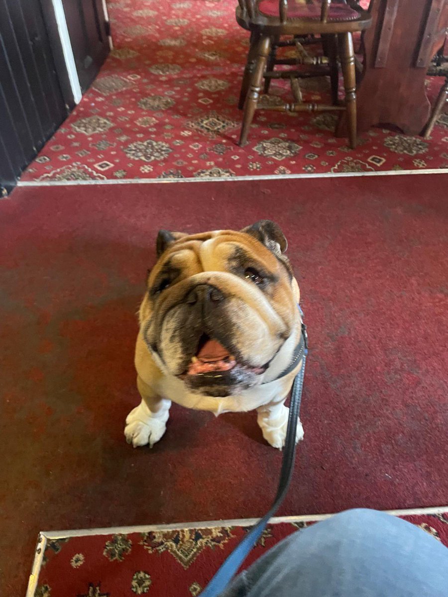 SirTappenden's tweet photo. Mum on her way back from Birmingham, so Dad has taken me out for the day again, this time into town. I will be thankful when they go back to work tomorrow, so I get a rest 🐾 https://t.co/EPvn2iDjus