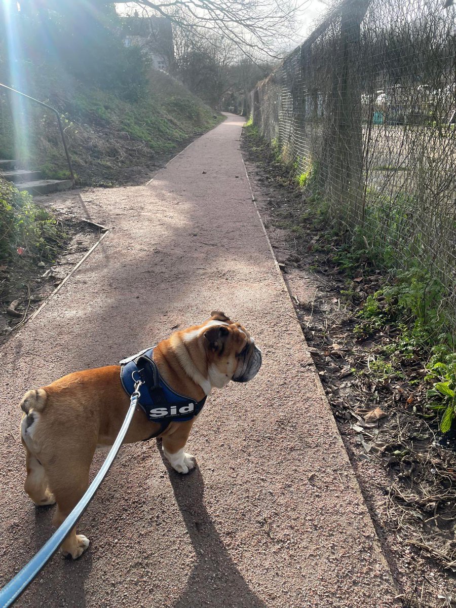 SirTappenden's tweet photo. Mum on her way back from Birmingham, so Dad has taken me out for the day again, this time into town. I will be thankful when they go back to work tomorrow, so I get a rest 🐾 https://t.co/EPvn2iDjus